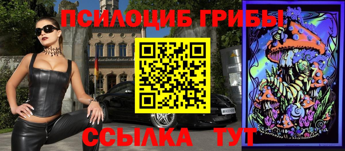 Галлюциногенные грибы Psilocybine cubensis Выкса