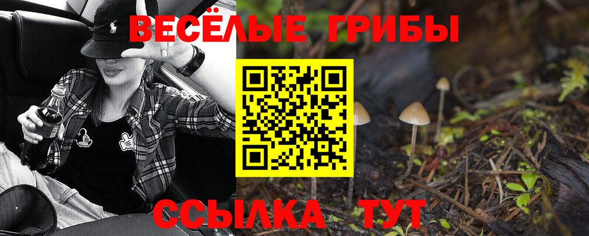 Псилоцибиновые грибы ЛСД  Псилоцибиновые грибы ЛСД  Выкса  Вход с VPN 